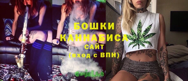 МДПВ Вяземский