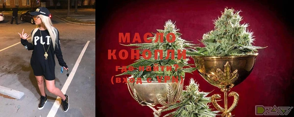 МДПВ Вяземский