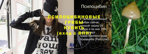 кристаллы Горняк