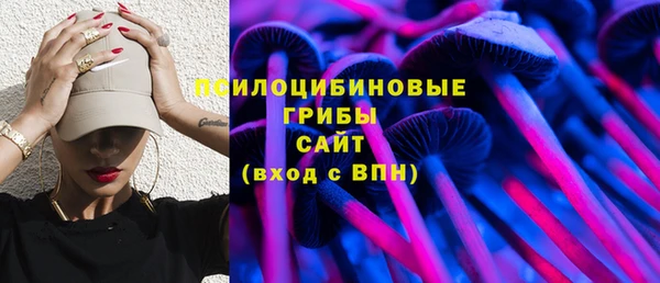 МДПВ Вяземский